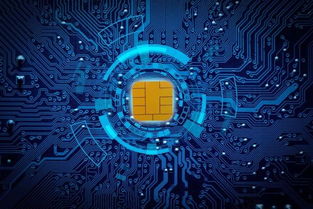 进军大湾区 慧聪集团产业互联网战略再升级